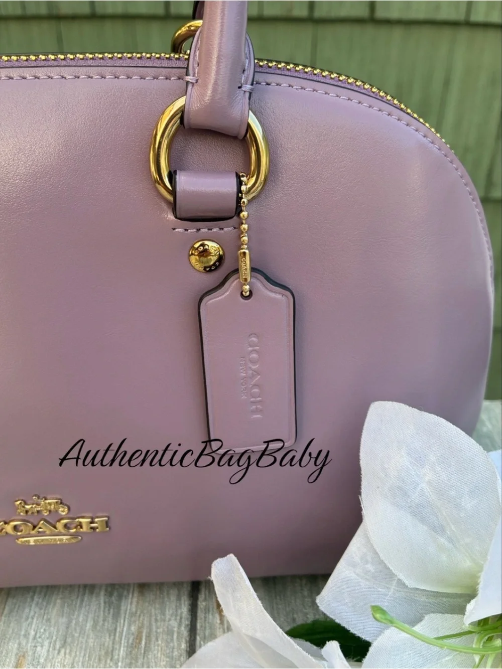 Coach Lara Satchel Leather Bag Purse